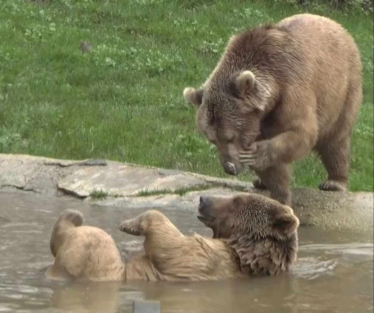 Tüm dünya uyurken onlar uyandı: Dünya Uyku Günü'nde böyle görüntülendiler - 1. Resim
