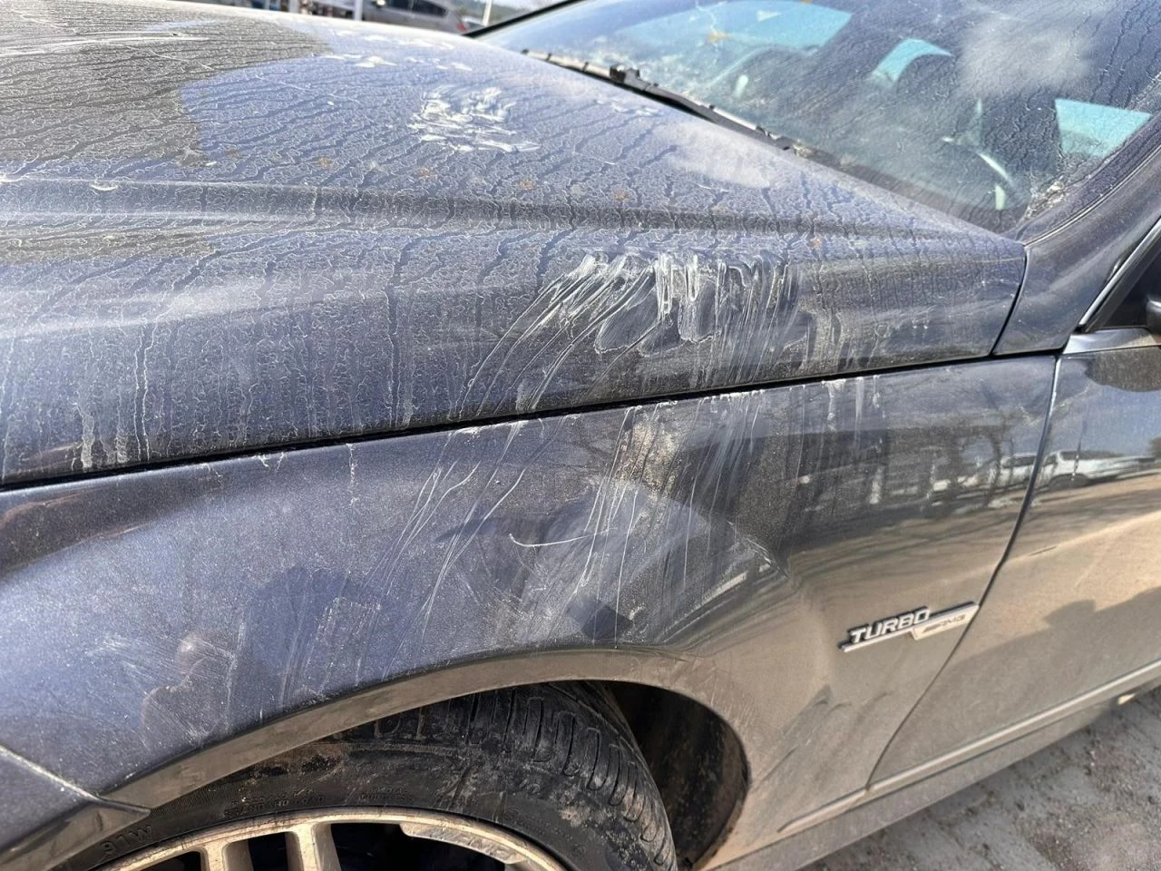 Hortum ve sandalyeyle köpeğe saldırdı! Hem işkenceciye hem saldırana ceza