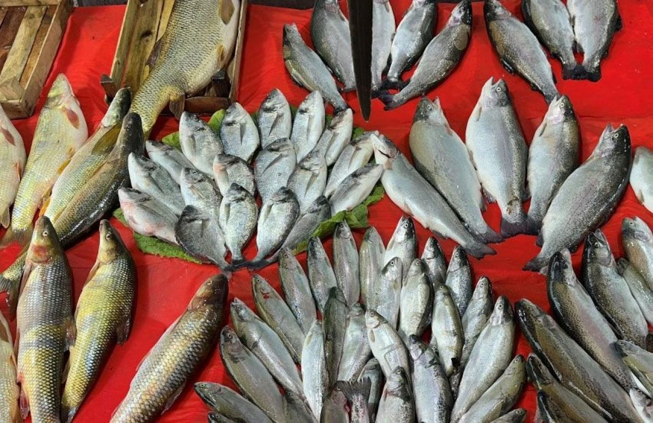 Balıkçıların yüzü Ramazan’da gülüyor: 3 kişiyi doyuruyor, kilosu 100 lira! - 2. Resim