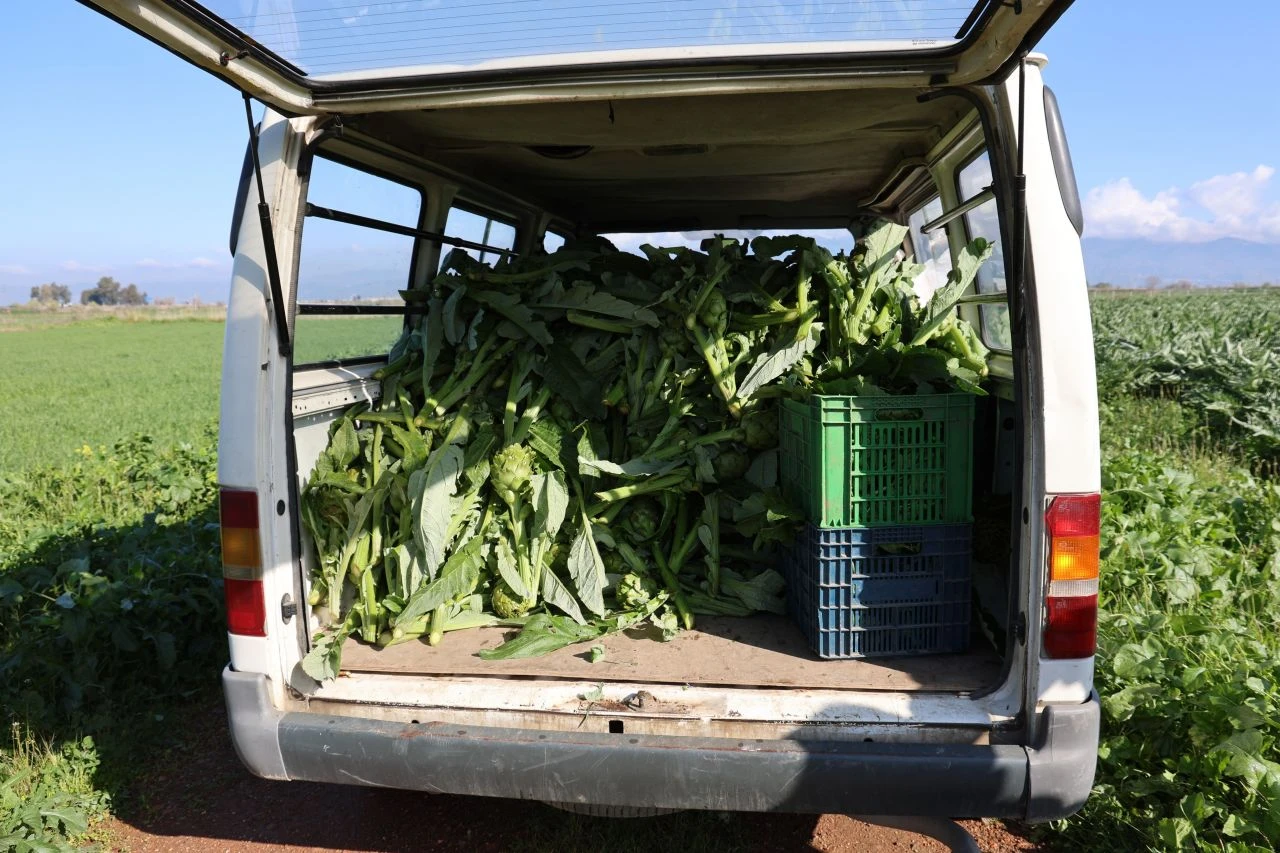 Yeşil elmas tarlada 20, tabakta 400 TL! "Artık lüks olmaya başladı" - 2. Resim