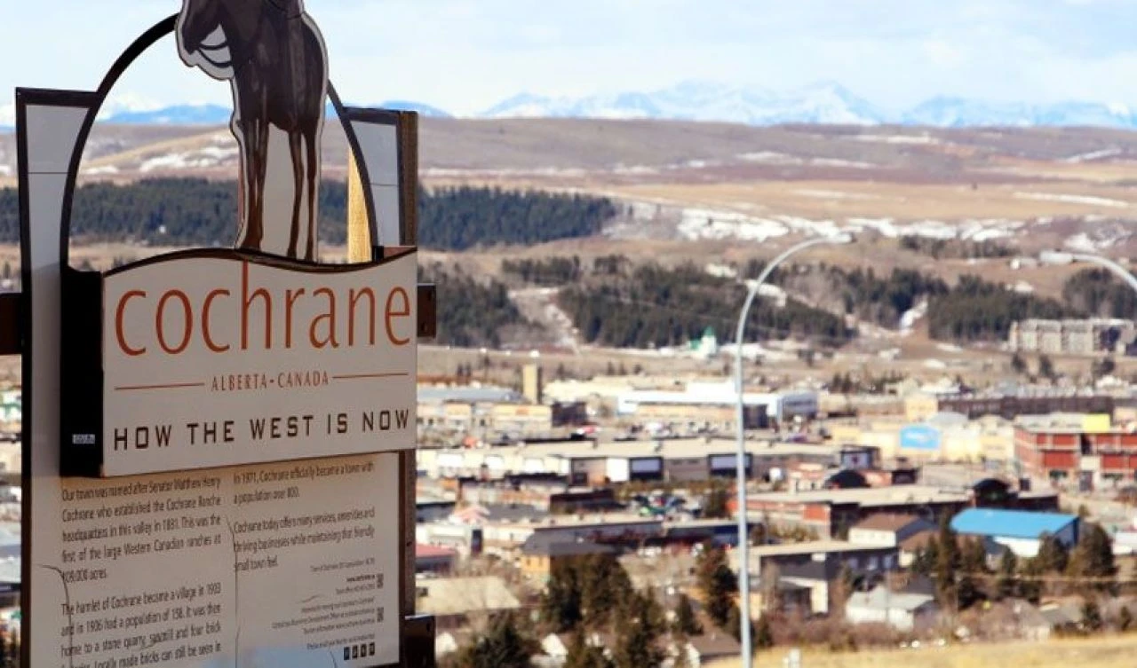 Belediye başkanından inanılmaz proje: Su ve elektrik sorunu olmayan arsalar 240 TL'ye satışta