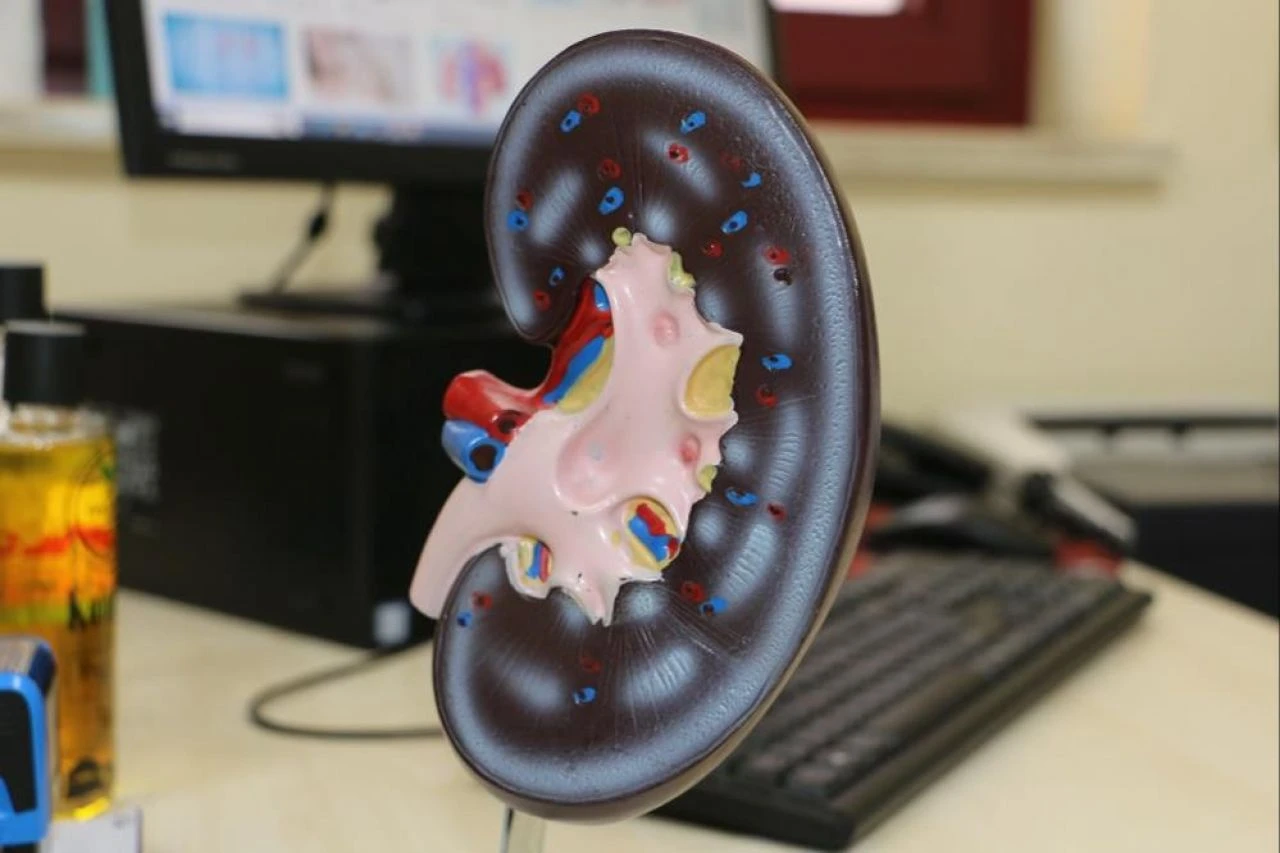 Ramazan ayında günde kaç litre su tüketilmeli! Uzmanından kritik uyarı...