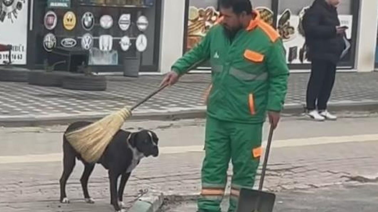 Yüzleri gülümseten anlar: Sokak köpeğinin sırtını süpürge ile kaşıdı