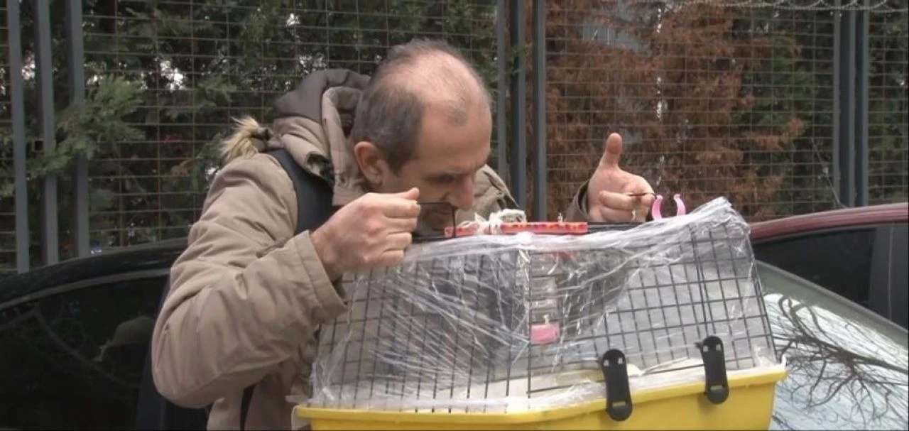 Zeytinburnu'nda iş merkezinde yangın çıktı: Hamsterını almadan dışarı çıkmadı - 2. Resim