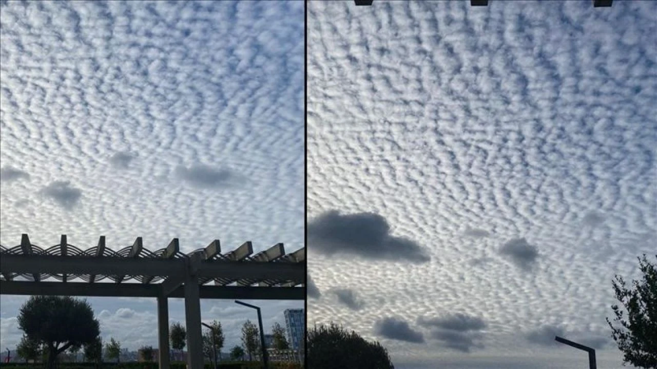 Sirrokümülüs bulutları nedir? Sirrokümülüs bulutları neyin habercisidir?