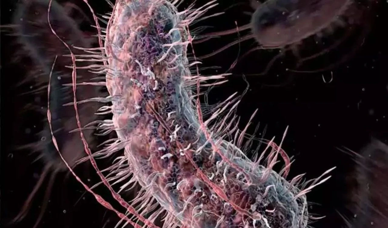 'Et yiyen' bakteri yayılıyor! Bine yakın vaka var