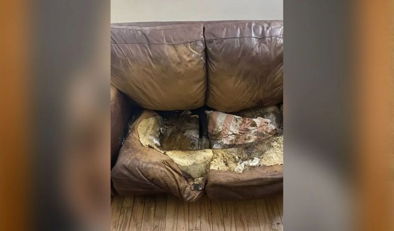 'Kanepede eriyen' kadın! Bu bir 'yetersiz beslenme' cinayeti her detayı dehşet - 3. Resim