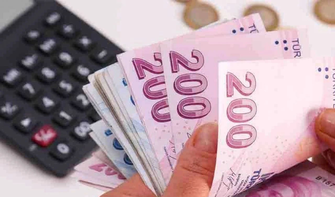 Bakan duyurdu! Destek ödemeleri bugün hesaplara geçiyor - 1. Resim