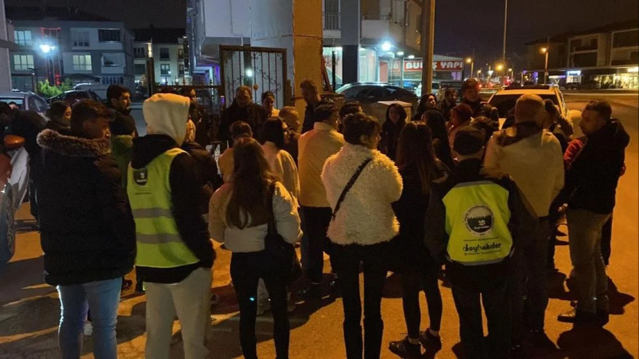 Bursa'da korkunç olay! 6 yavru kedi kafası kesilmiş halde bulundu