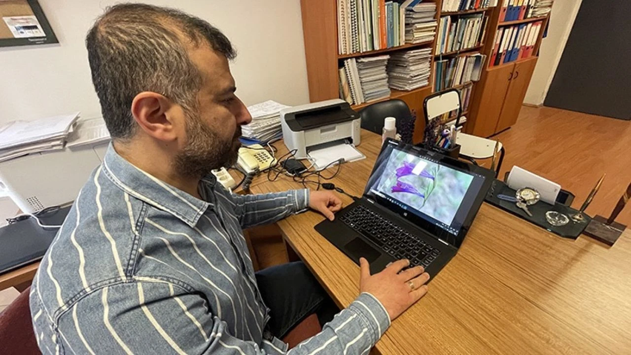 Eşi benzeri yok... Adana'da keşfedilen yeni bitki türünde dikkatleri çeken detay - 1. Resim