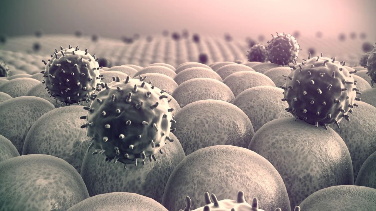 Orta Çağ virüsü hortladı! Kulak, burun ve eller çürüyor