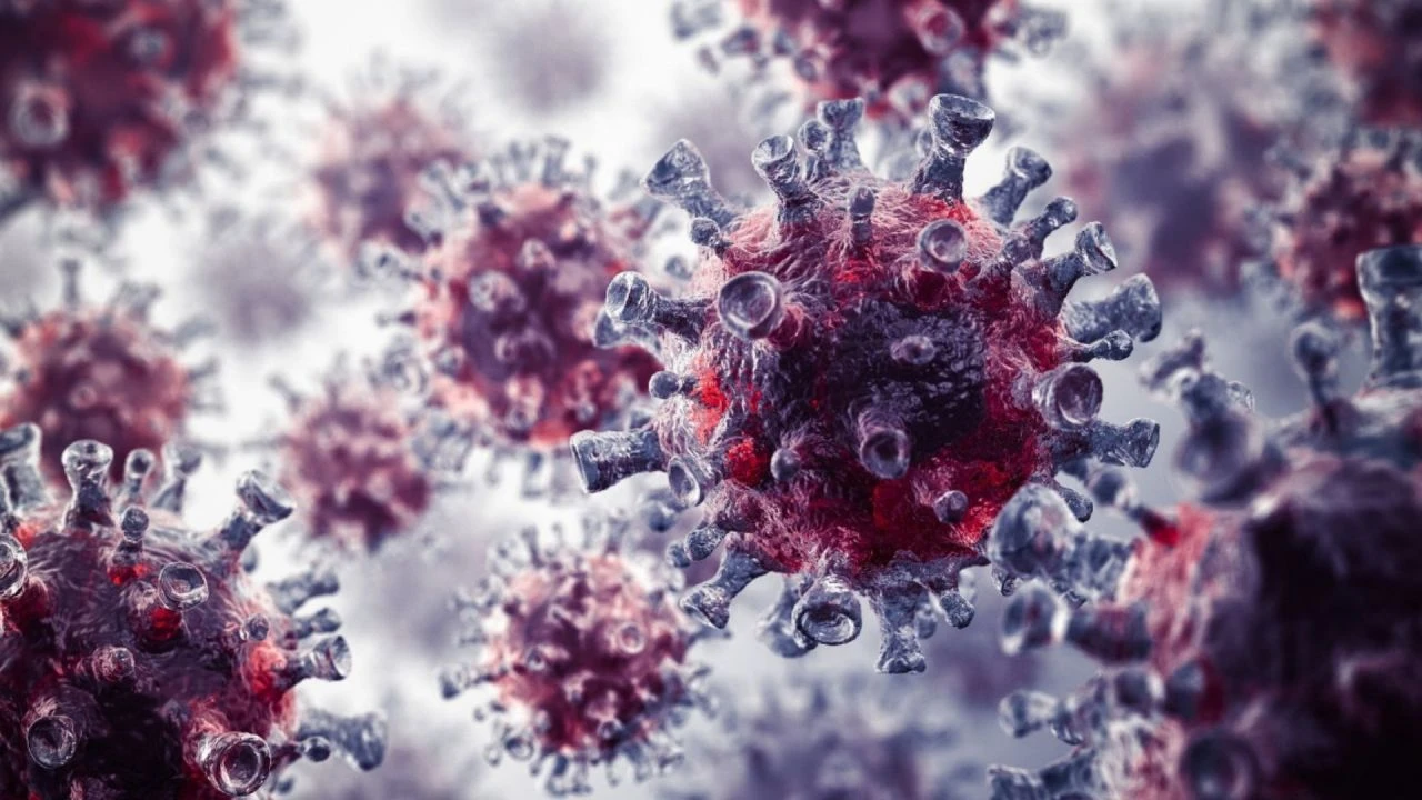 Orta Çağ virüsü hortladı! Kulak, burun ve eller çürüyor