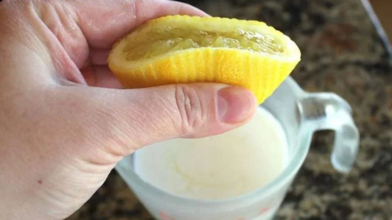 Orucu açtıktan sonra çay ve kahve içmeyin! Anadolu kadınlarının gizli şifası: Limonlu süt - 2. Resim