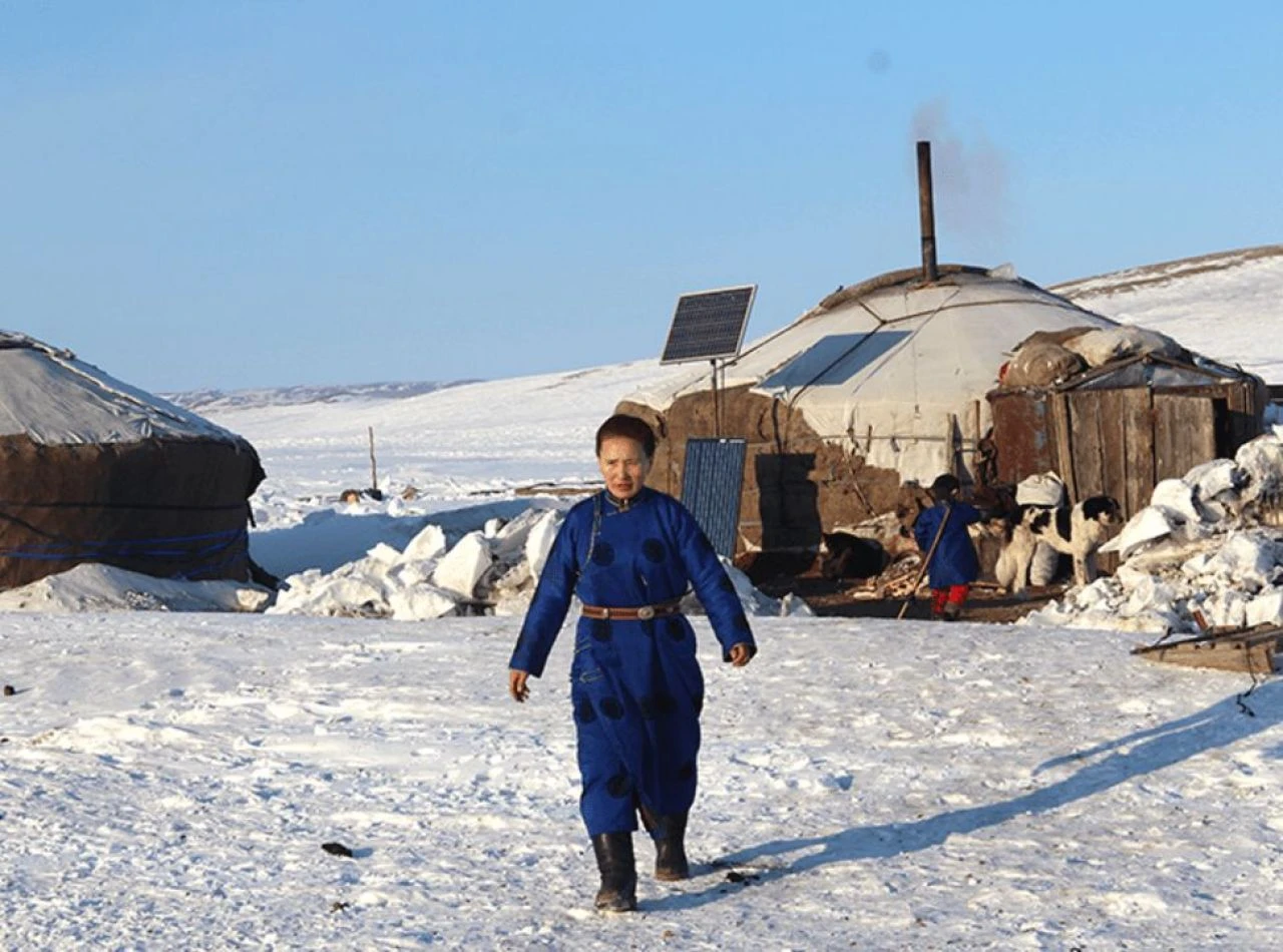 Son 50 yılın en zorlu hava koşulları ülkedeki yaklaşık 5 milyon hayvanı öldürdü - 2. Resim