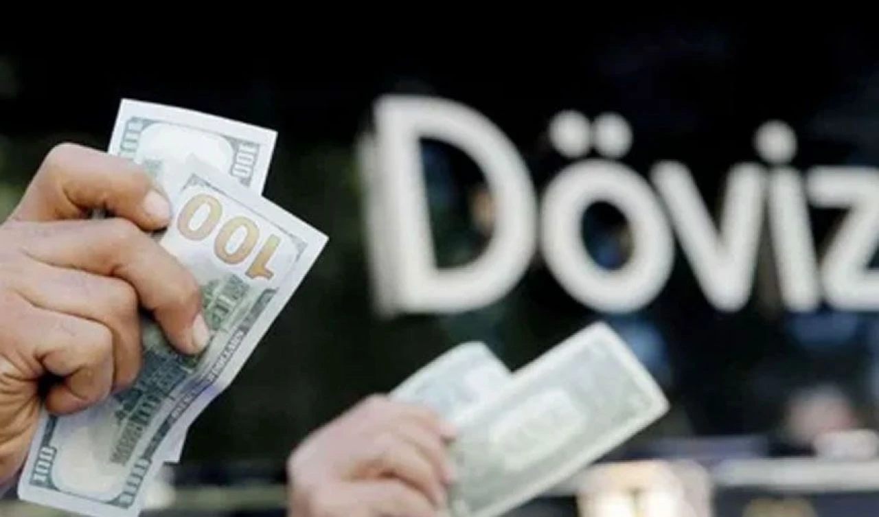 Cevdet Yılmaz'dan döviz açıklaması: İhtiyacımız azaldı - 2. Resim