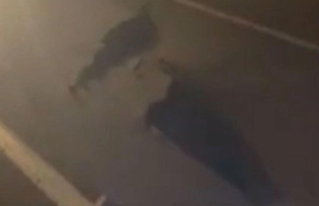 Valilikten açıklama geldi! Şırnak-Hakkari yolu trafiğe kapatıldı - 1. Resim