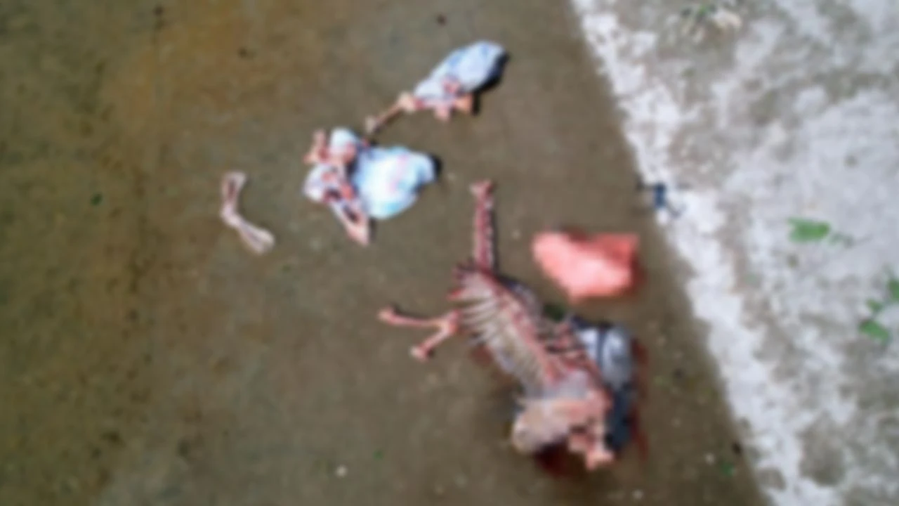 Adana'da mide bulandıran görüntü: Yüzlerce at ve eşek kalıntısını sulama kanalına attılar - 1. Resim