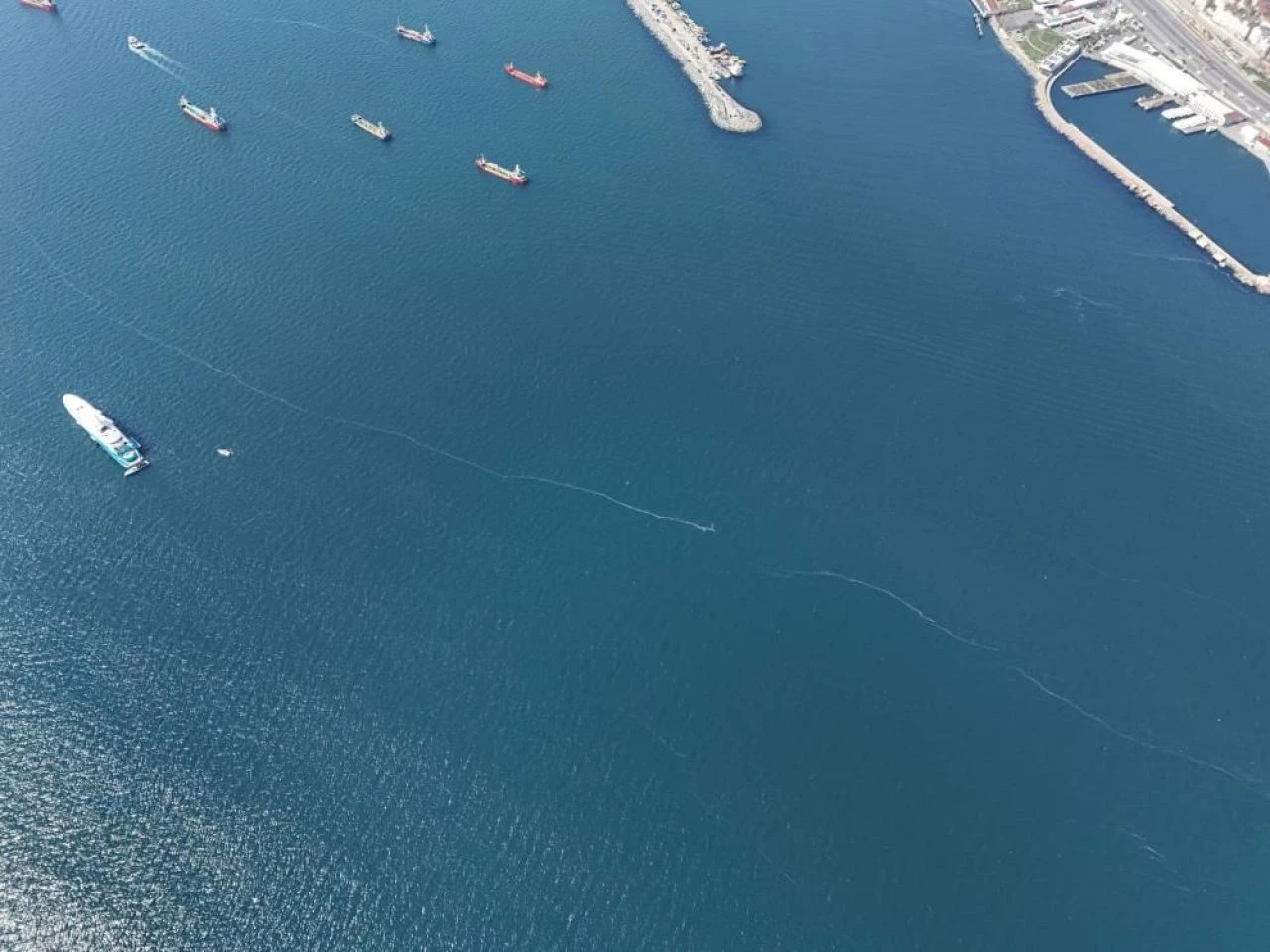 Kilometrelerce uzunlukta denizanası istilası