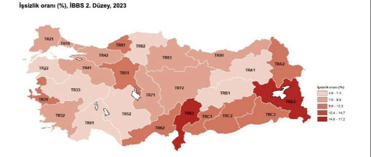 Son dakika! TÜİK, işsizlik verilerini açıkladı - 3. Resim