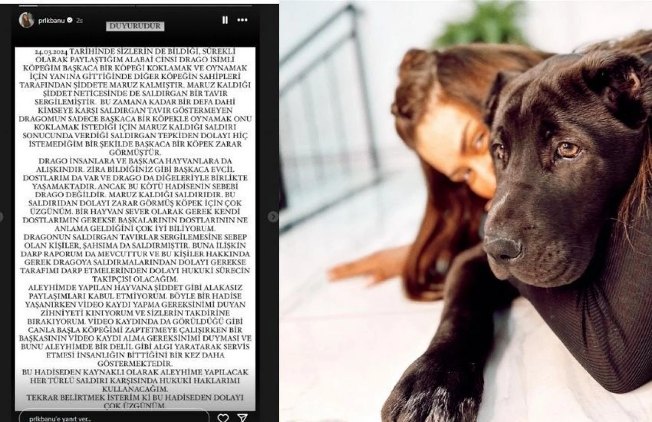 Tasmasız gezdirdiği köpeği bir başka köpeği öldürmüştü! Fenomen Banu Parlak'tan ilk açıklama