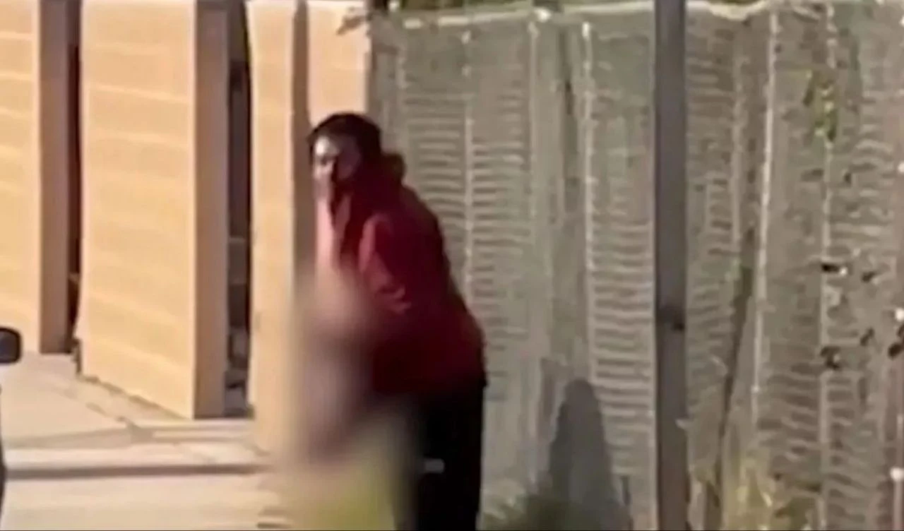 Tren çarpan kişinin bacağını alıp yediği iddiasıyla tutuklandı