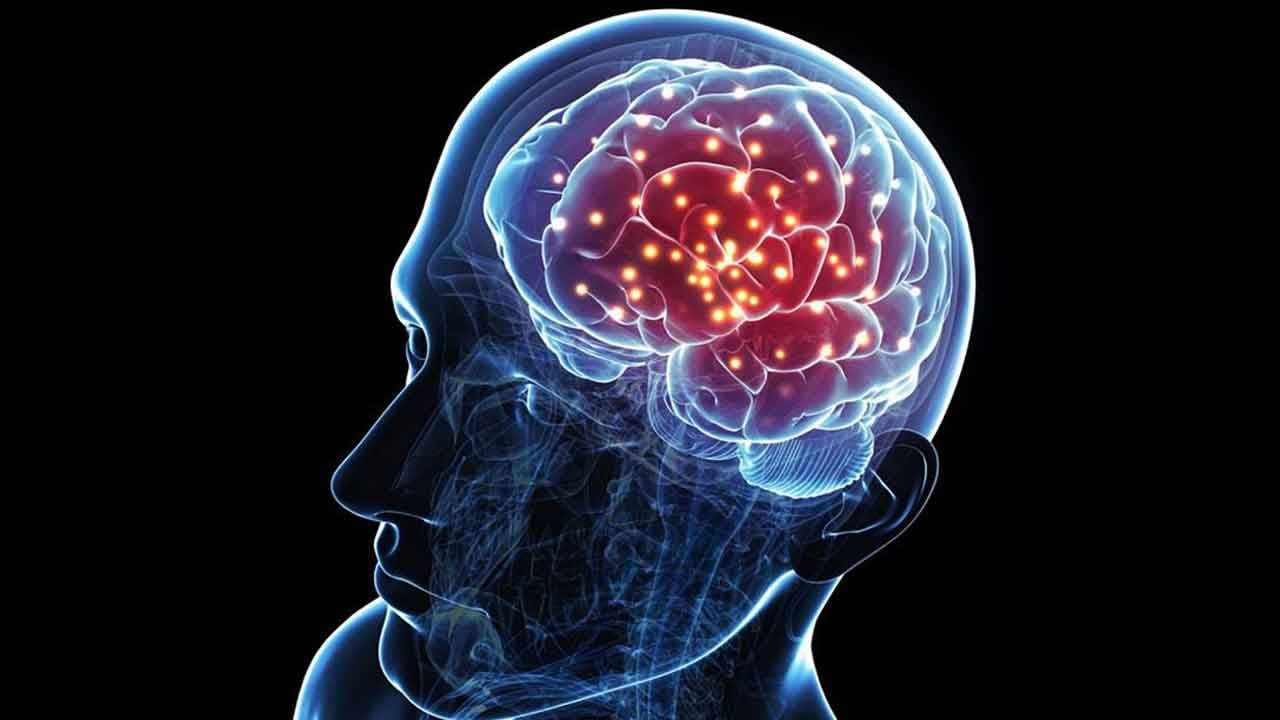 Demans riskini azaltan araştırma: İnsan beyni kademeli olarak büyüyor