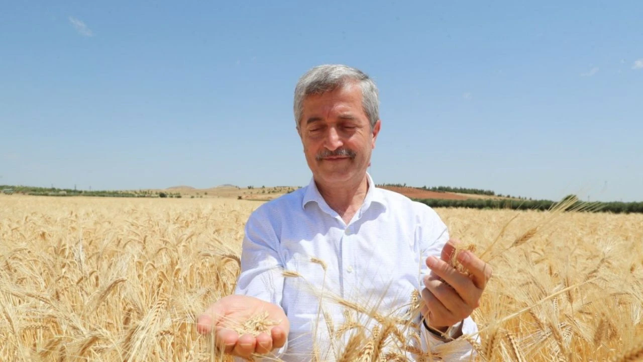 Gaziantep Şahinbey Belediye Başkanı TGRT Haber'e konuştu! Çiftçinin yüzünü güldüren haber