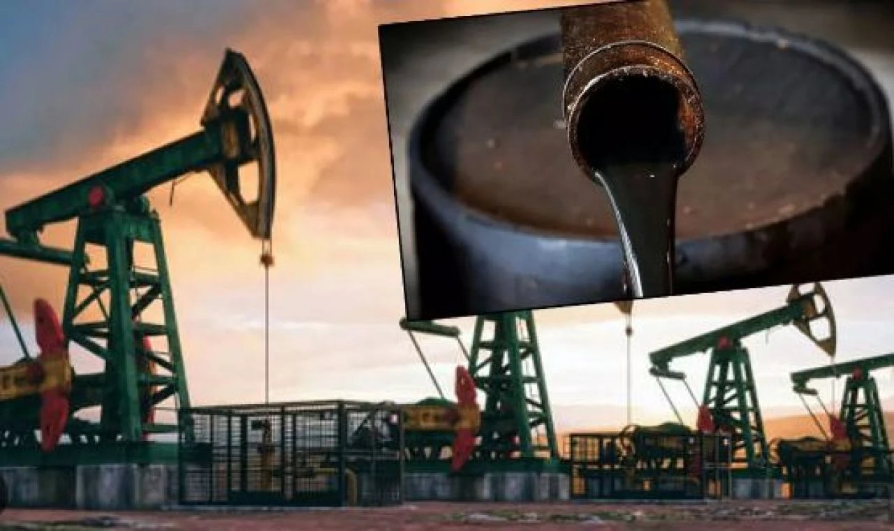 Uzman isimden heyecanlandıran sözler: Günlük 1 milyon varil petrol iddiası