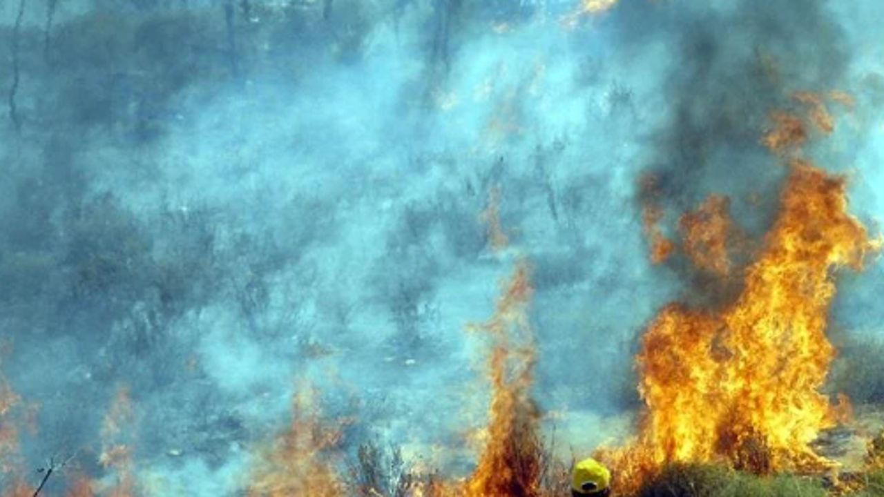 Halkalı&#039;da yangın nerede, neden çıktı? Son dakika