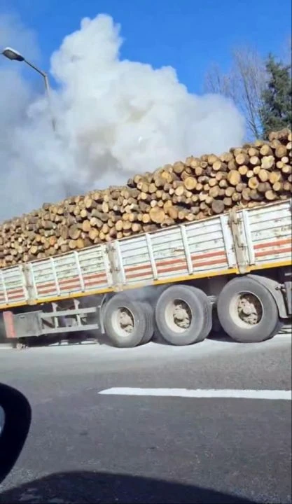 TEM'de hareketli dakikalar: Ağaç yüklü TIR alevlere teslim oldu - 1. Resim