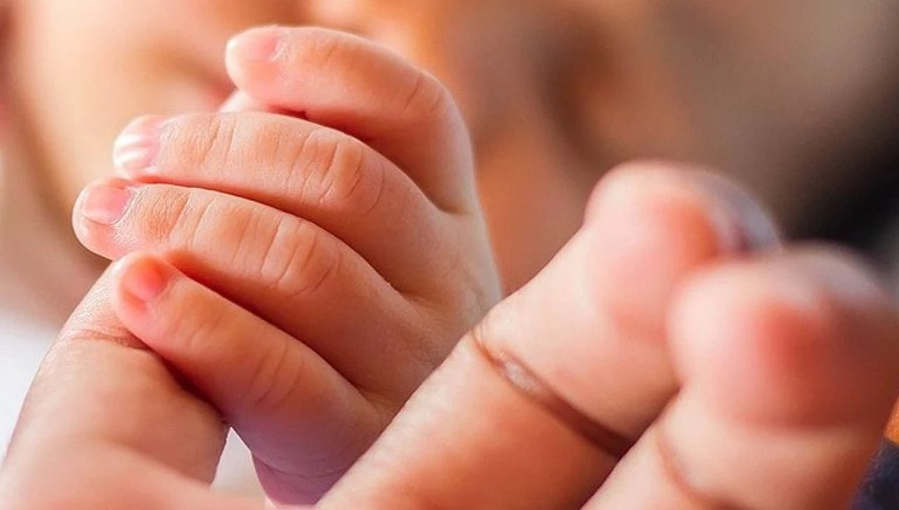 İhtiyaç sahibi ailelere devlet yardımı! Doğumdan, eğitime, yaşlıdan, işsize 47 destek ödemesi devrede