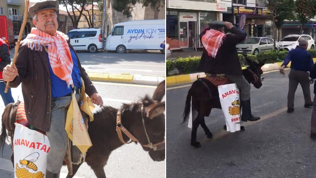 Eşekli seçim çalışması yapan çılgın adayın karnesi belli oldu!