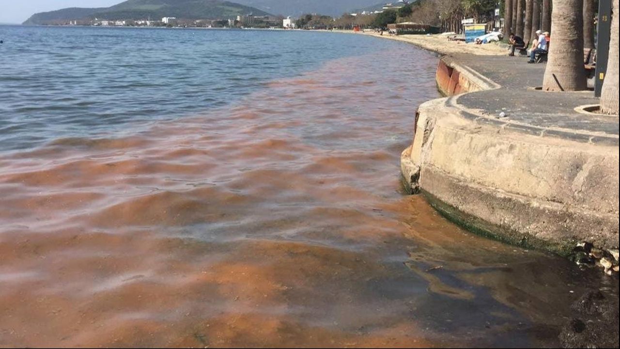 Marmara Denizi&#039;nde alarm! Su renk değiştirmeye başladı...