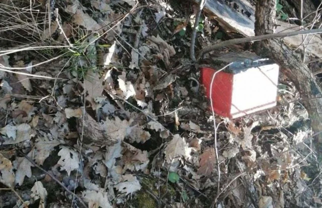 MİT'in desteğiyle Tunceli'de PKK'ya darbe: Teröristlerin inlerine girildi