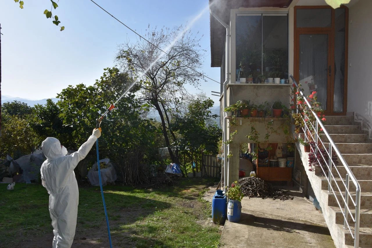 Bir şehrin başına bela oldular! Ekipler özel kıyafetlerini giydi, sokaklara indi: 40 bin noktada alarm