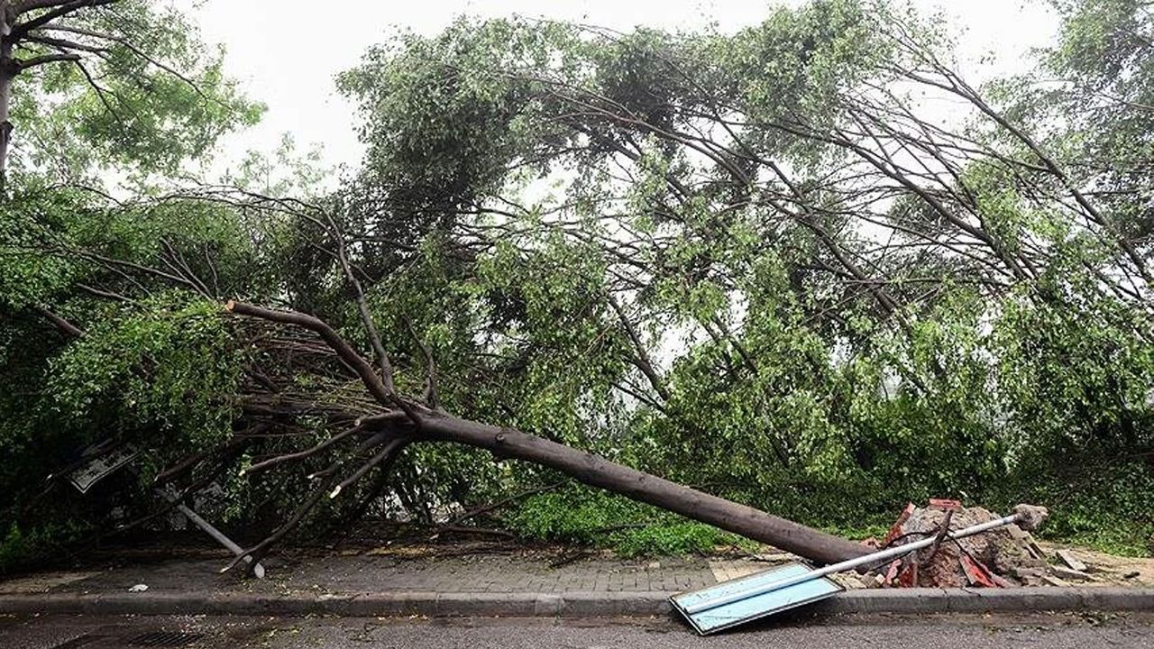 Çin&#039;de şiddetli fırtınalar: 7 ölü, 11 yaralı