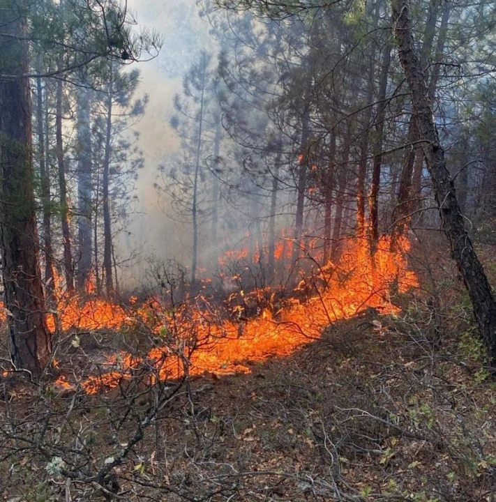 Kütahya'da korkutan orman yangını