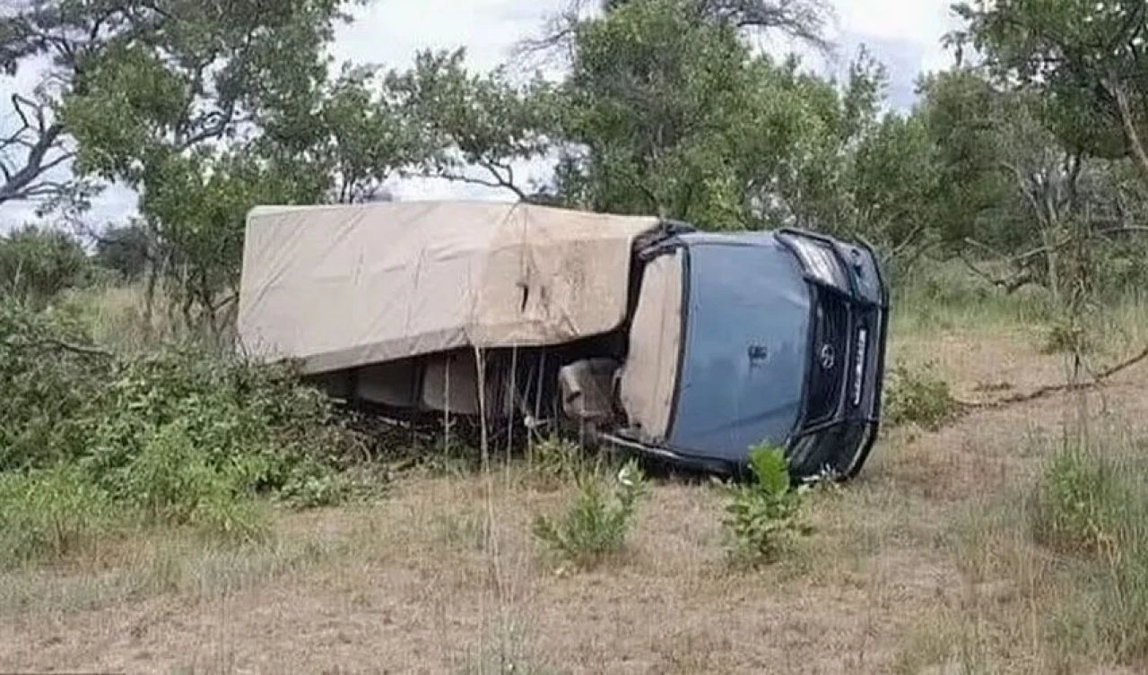 Safari gezisi kabusa dönüştü! Öfkeli fil kadını öldürdü - 4. Resim