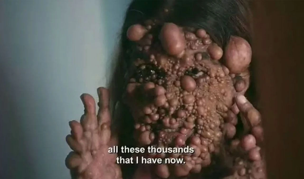 Türünün tek örneği! Yalnız ölmekten korkuyor - 3. Resim