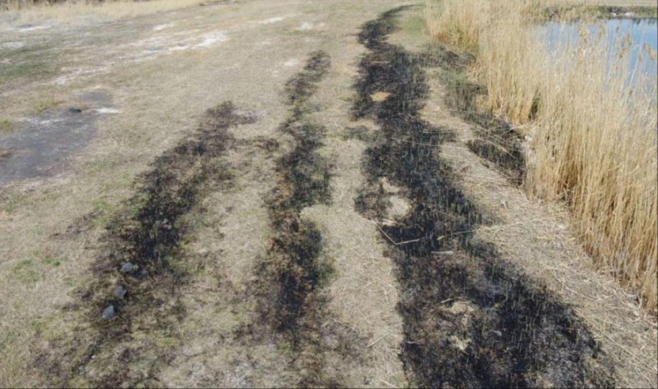 Doğal güzellikler tehlike altında! Ağrı Dağı Milli Parkı'nda ekosistem tehlike altında 