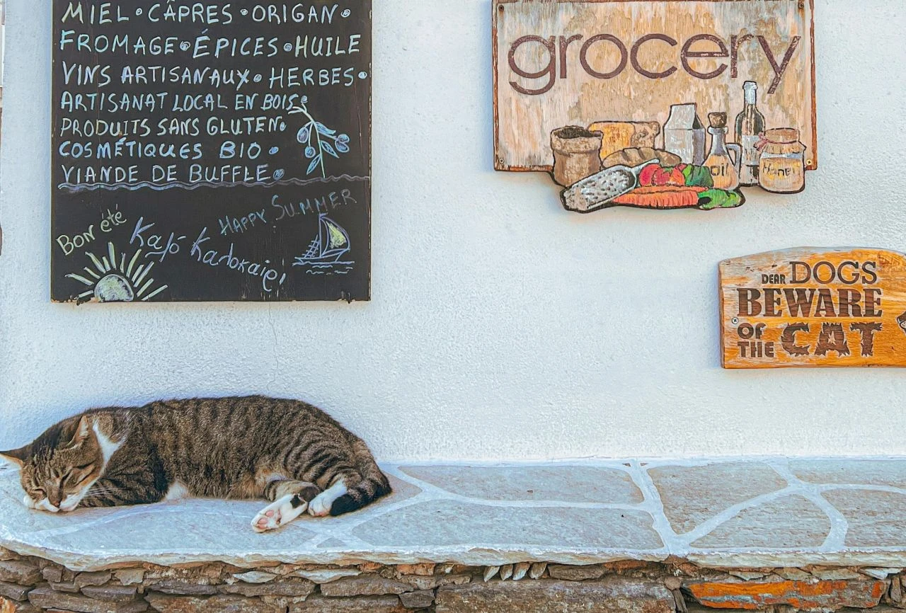 Kapıda vizeyle Bodrum’dan Kalimnos Adaları’na tur rehberi! Kelemez Adalarında gezilecek yerler - 4. Resim