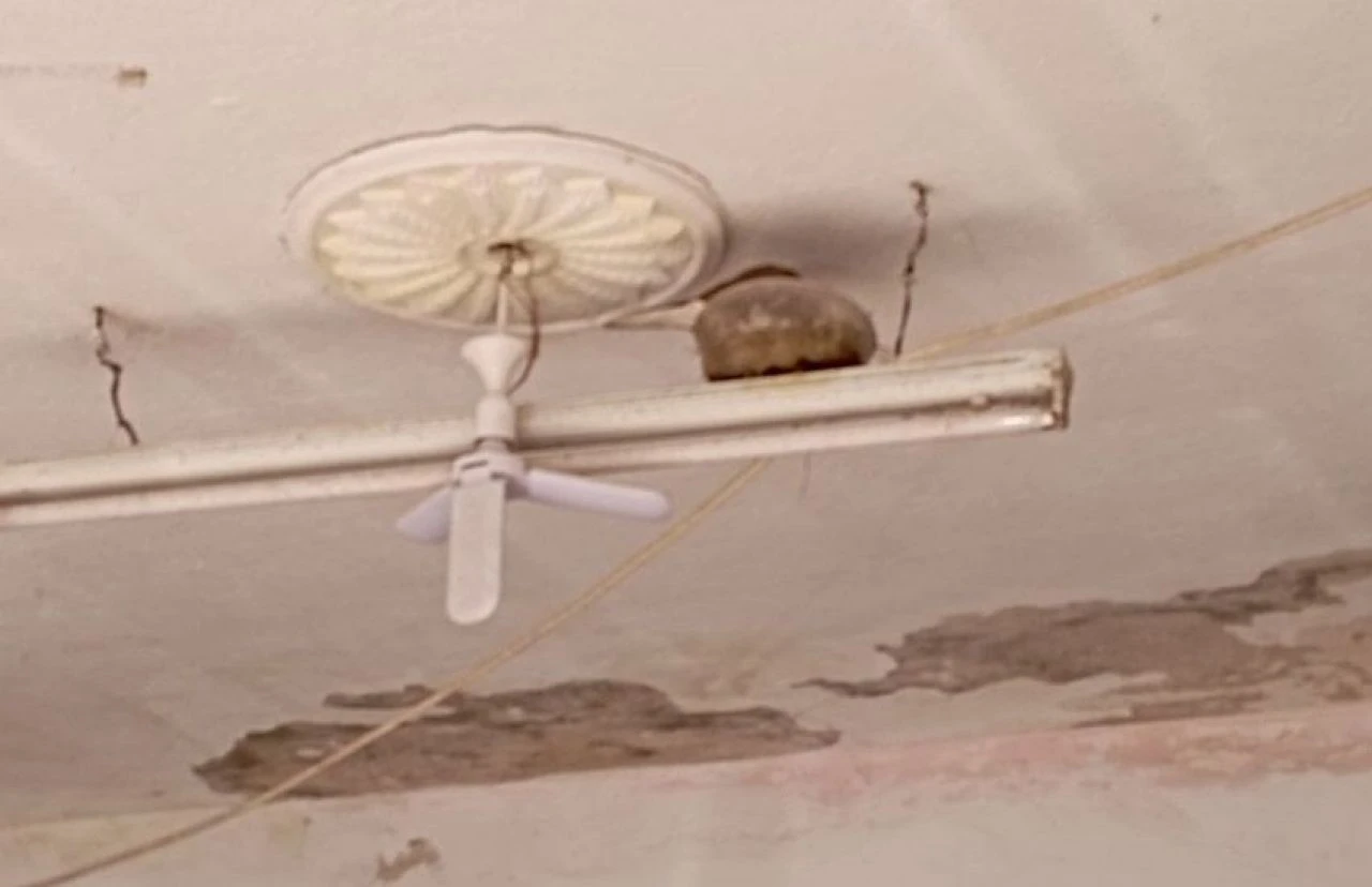 Lastikçiyle kumru arkadaş gibi: Floresan olmadı, tasa yuva yaptı - 2. Resim