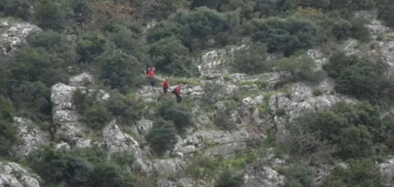 Sarmaşık toplarken dağın tepesinde gördü, dehşete düştü! 5 saatte indirilebildi