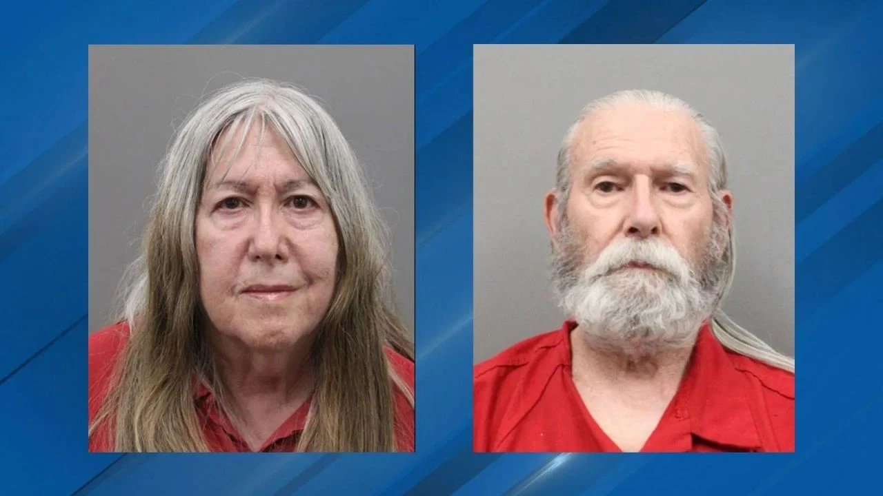 Skandal hayvan istifçiliği! Sadece evi değil arabayı hatta otel odasını da doldurmuşlar - 1. Resim