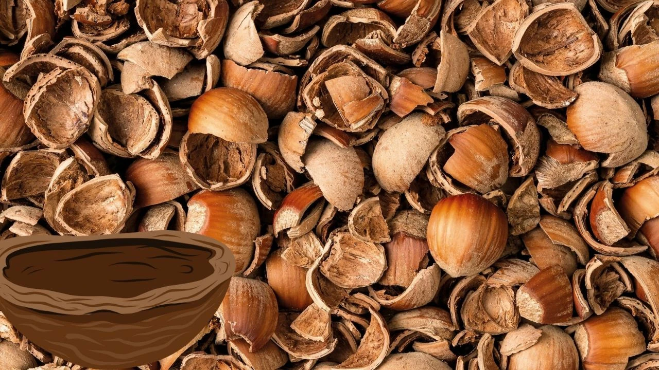 Canan Karatay'dan çöp uyarısı! Demir ilaçlarından daha etkili fındık kabukları