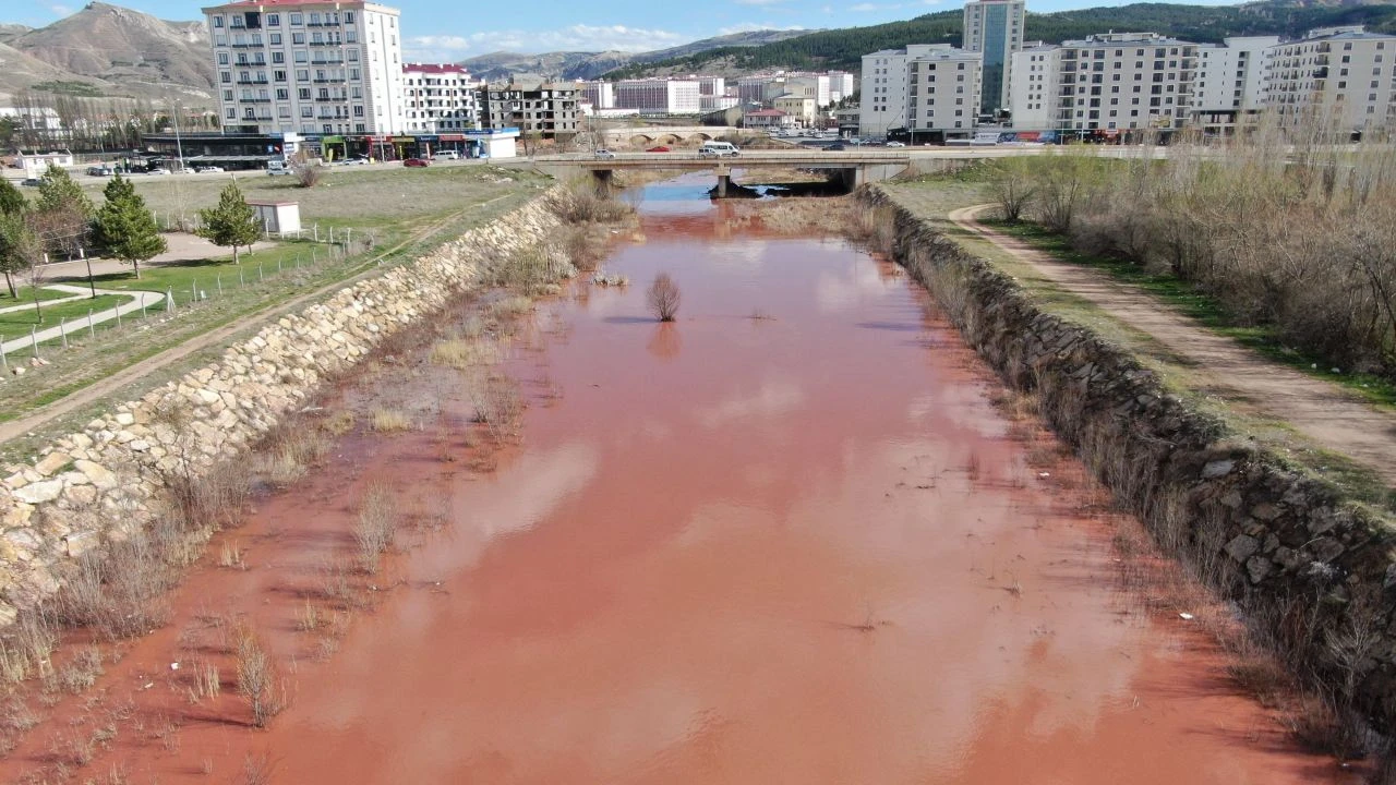 Her yıl tekrarlanan ilginç doğa hayrete düşürdü - 1. Resim