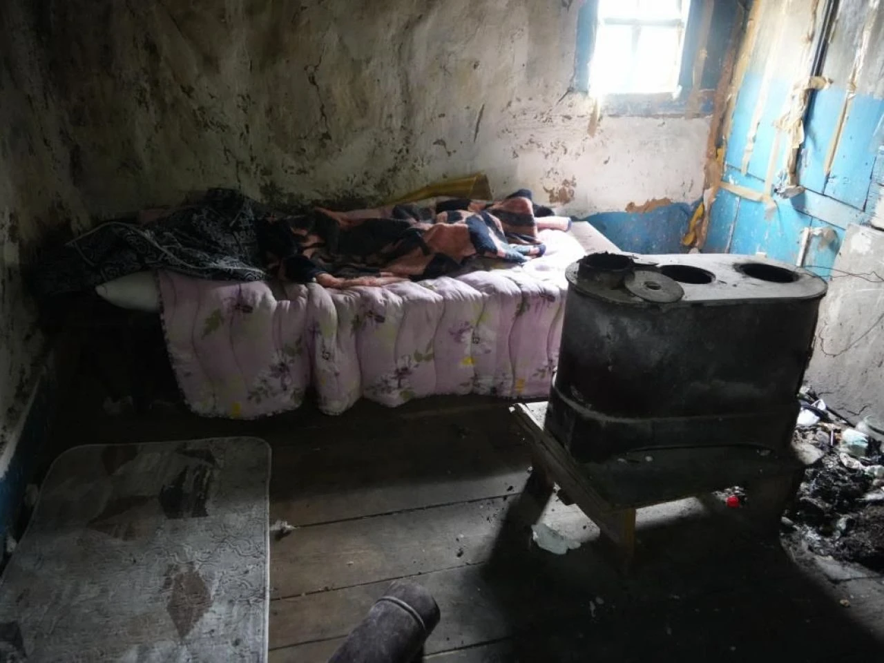 Evinde baygın halde bulundu, beslediği 36 kedisi sahipsiz kaldı