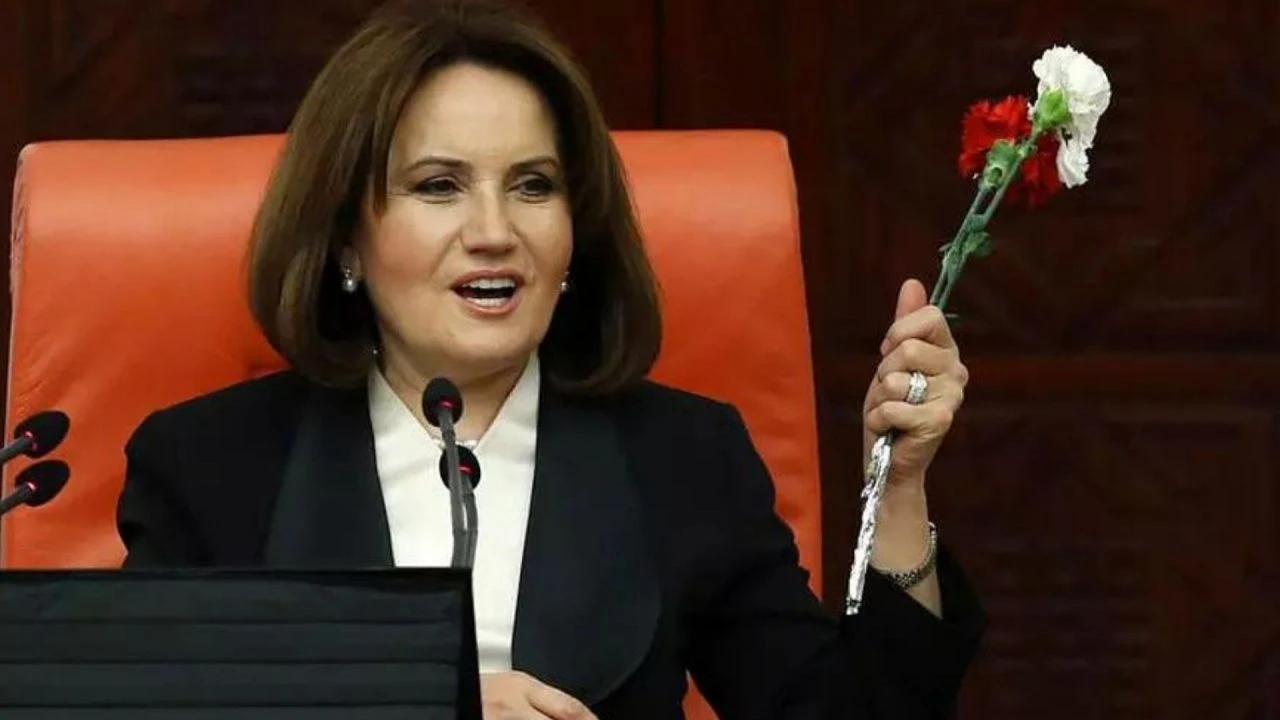 Meral Akşener'in siyasi kimliği dışındaki gerçek mesleği! Kariyerindeki Necmettin Erbakan detayı - 3. Resim