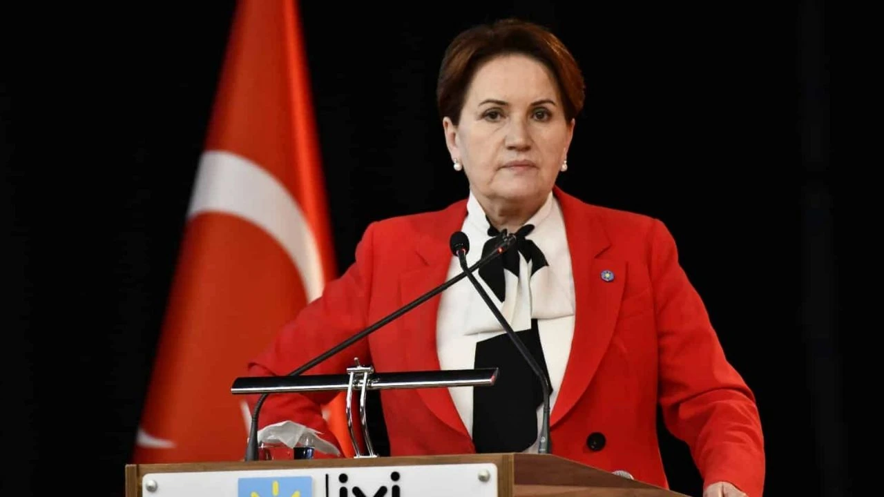 Meral Akşener'in siyasi kimliği dışındaki gerçek mesleği! Kariyerindeki Necmettin Erbakan detayı - 2. Resim
