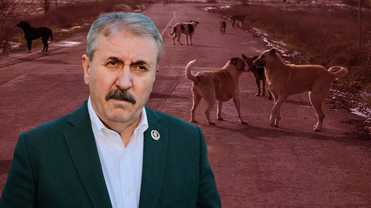 Mustafa Destici&#039;den BBP&#039;li belediyelere &#039;sokak köpeği&#039; talimatı